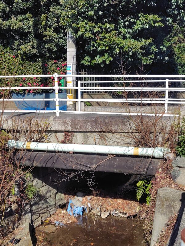 橋